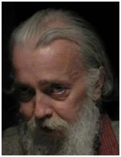 Peter Lamborn Wilson