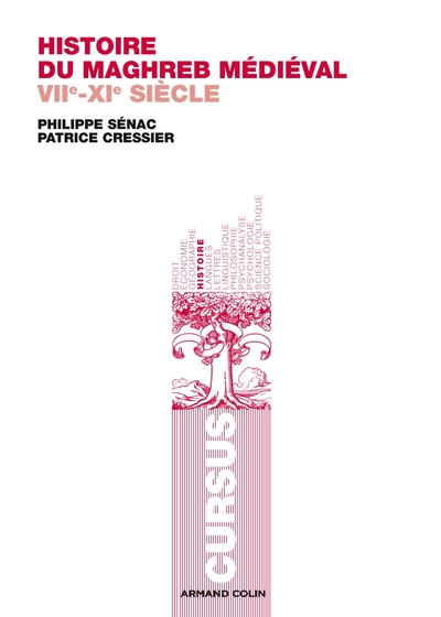 Histoire du Maghreb médiéval, VIIe-XIe siècle