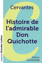 Histoire de l'admirable Don Quichotte de la Manche