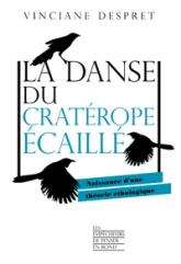 La danse du cratérope écaillé
