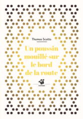 Un poussin mouillé sur le bord de la route