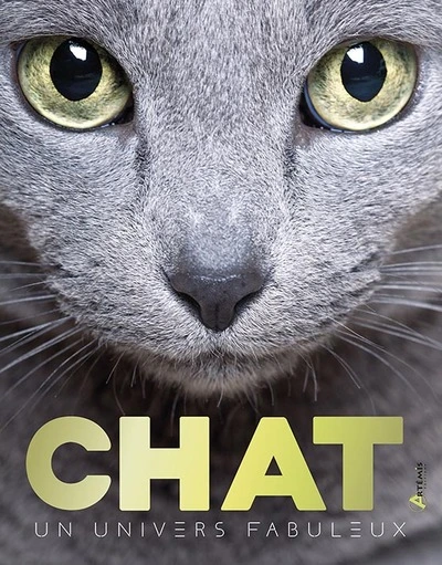 Chat un univers fabuleux