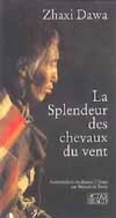 La splendeur des chevaux du vent