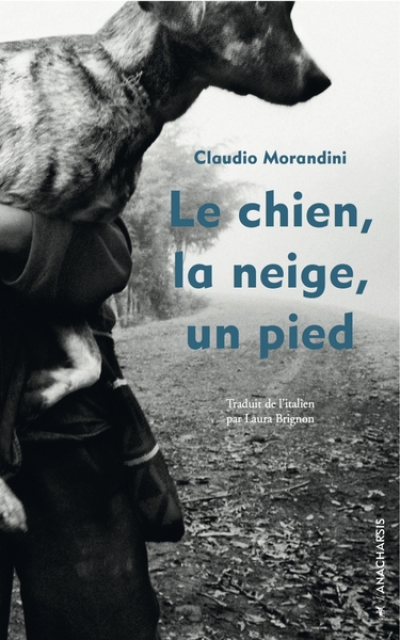 Le chien, la neige, un pied