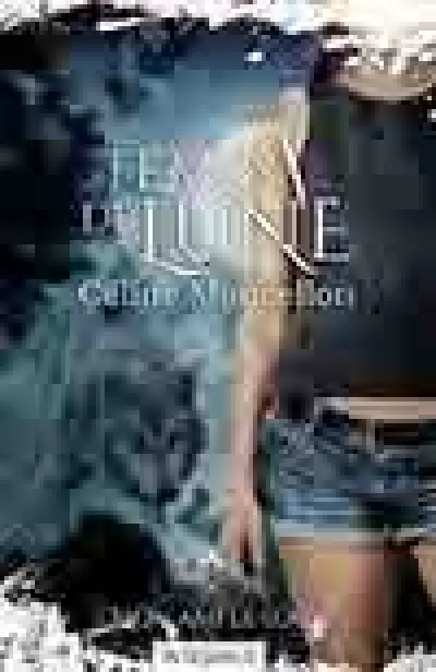 Temps de lune - Intégrale, saison 1